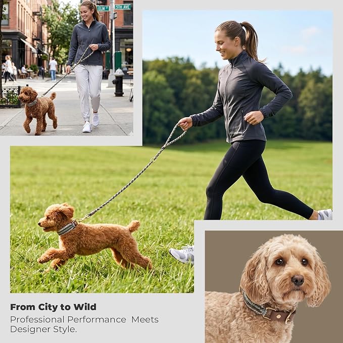 Tirevt Hand-Woven Dog Collar and Leash Set:Color-Block Design, Premium Reinforced Buckle, Adjustable Artisan Paracord for Puppies, Small, Medium & Large Dogs (Green, XS)