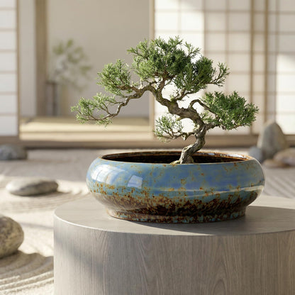 Homoyoyo Ceramic Lotus Bowl Planter Porcelain Cactus Planters for Lotus Seeds Succulents Bonsai Water Lily Arrangement Bonsai Succulents Cactus Without Hole Blue