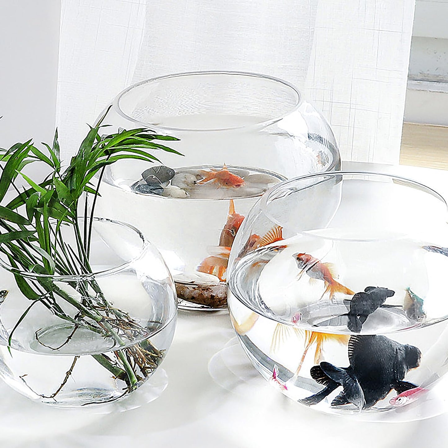JOINPAYA Glass Hydroponics Vase 20cm Round Bulb Plant Holder Decorative Fish Tank for Desktop Home Office Succulent Terrarium