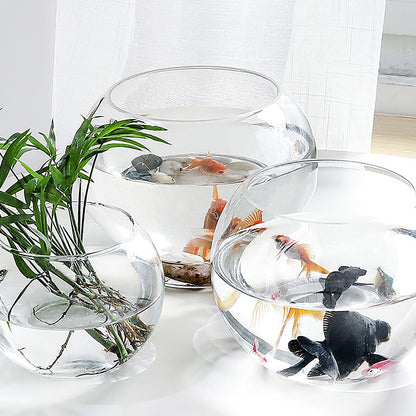JOINPAYA Glass Hydroponics Vase 20cm Round Bulb Plant Holder Decorative Fish Tank for Desktop Home Office Succulent Terrarium