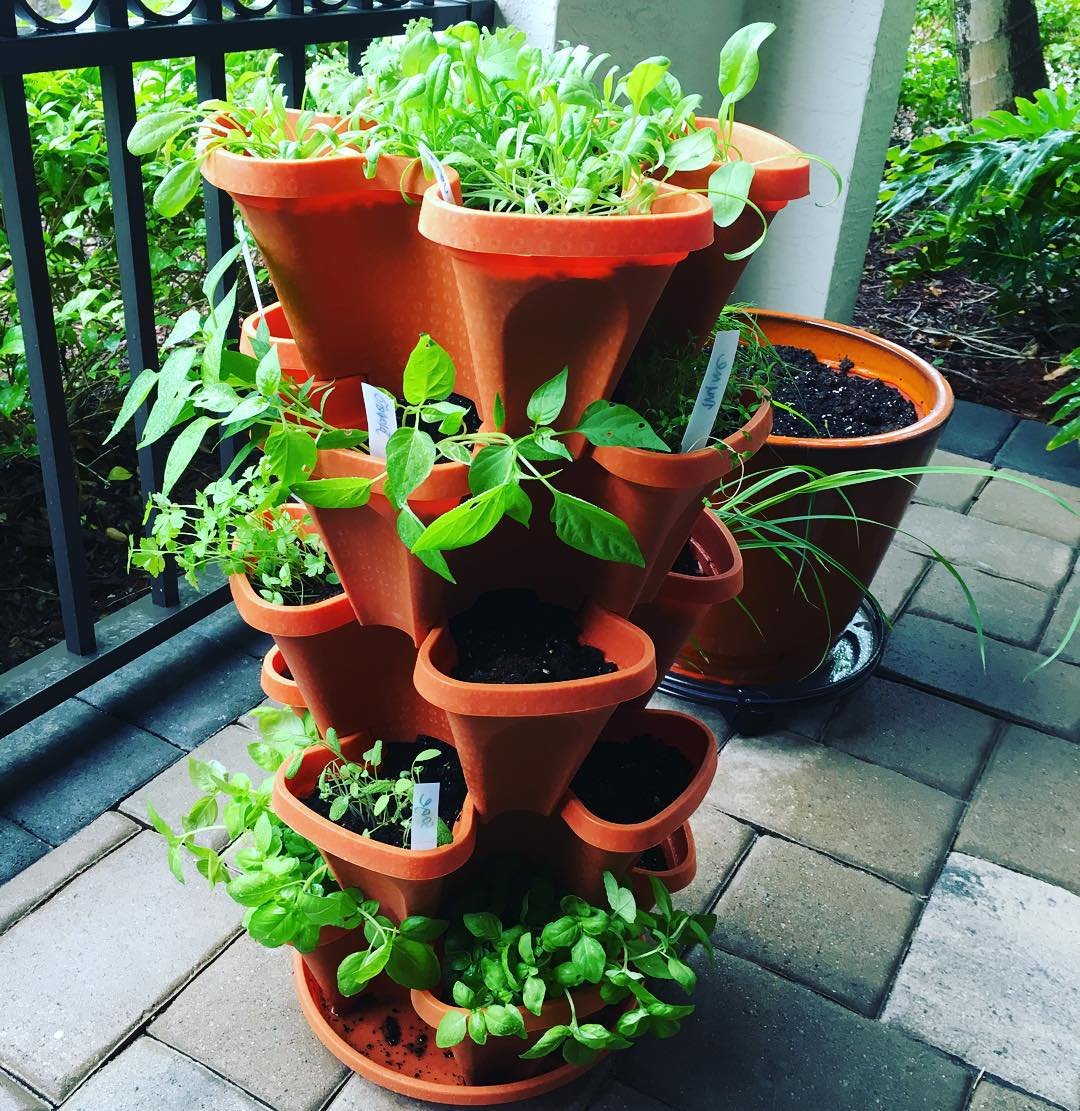 5 Tier Stackable Strawberry, Herb, Flower, and Vegetable Planter - Vertical Garden Indoor/Outdoor