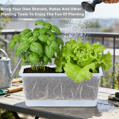 Oliz Window Box Planter 6 Packs, 13.8 Inches Rectangle Flower Pots with Drainage Holes & Trays, Pots for Vegetables, Herbs, Flowers, Garden Windowsill Balcony (Translucent White)