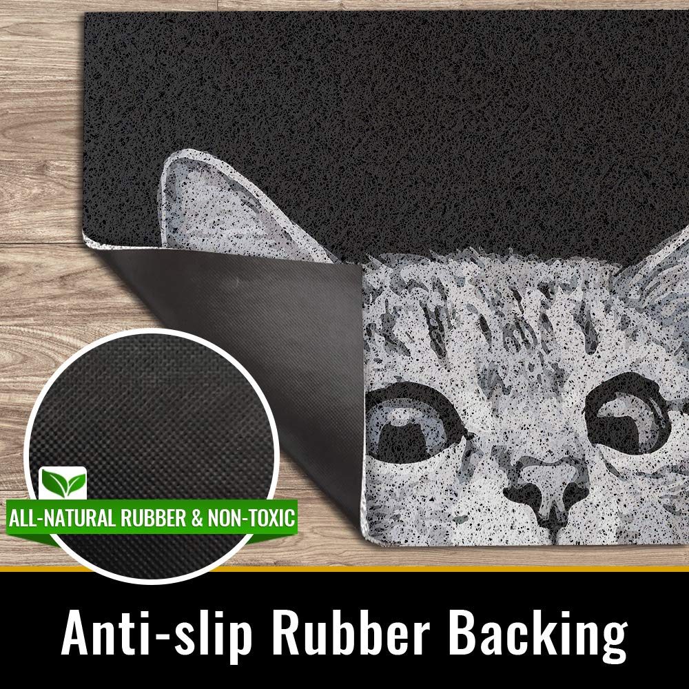 MR FANTASY Cat Door Welcome Mat - Outdoor Entrance, Durable Doormat for Indoors & Outdoors, High Traffic Areas, 17x29