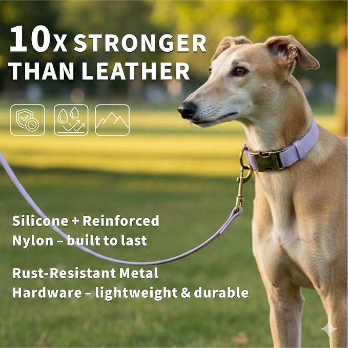 Silicone Dog Collar and Leash Set, Waterproof & Odor-Proof Puppy Collar for Small Dogs, Soft Flexible Leather-Look Dog Collars, Durable Thick Adjustable Pet Collar (Purple, Large (16-24.5" Neck))