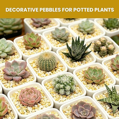 1/8 Inch Aquarium Gravel, Small Pebbles for Fish Tank, Indoor Plants & Succulents, Natural Mini River Rocks for Drainage, Terrarium, Top Dressing & Vase Filler, Cream Beige, 3LB