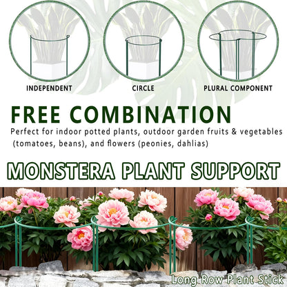 6 Pack Threaded Lock Metal Plant Support Stakes - 25" H Tall Peony Cage, Reusable Detachable Garden Ring for Hydrangea/Rose Bush/Potted Flowers, Indoor Outdoor Heavy Duty (10" W)