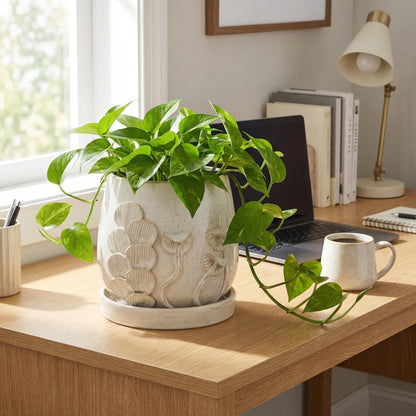 6 Inch Ceramic Plant Pot with Mushroom Gill Pattern Texture, Modern Glaze Planter with Saucer & Drainage Hole, Decorative Flower Pot for Indoor Outdoor Succulents, Herbs & Small Plants, Ivory White