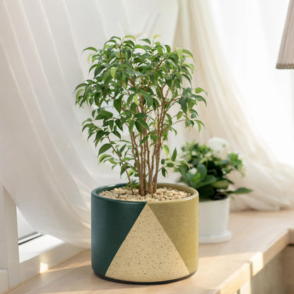 D'vine Dev 6.5" Stoneware Cachepot Planter with 6" Low Clear Nursery Pot & Detachable Saucer – Modern Indoor Plant Pot with Drainage for Bottom Watering & Root Visibility, Desert Forest, 93-O-D-1