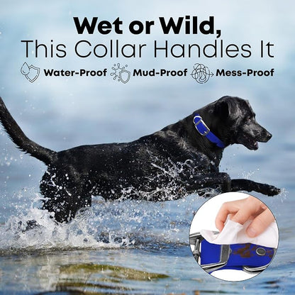 Regal Dog Products Large Blue Waterproof Dog Collar and Leash Set | Heavy Duty Double Buckle & D Ring - 5'ft Leash | Adjustable Biothane Dog Collar | Chew Resistant Waterproof Collar for Dogs