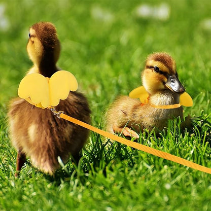 KAMA BRIDAL Duck Walking Harness and Leash Chicken Duck Outdoor Training Rope Adjustable Rope for Pet Poultry Hen Cock (S, Yellow)