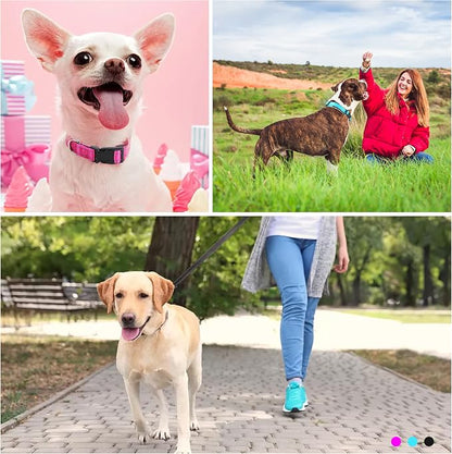 Soft Neoprene Padded Dog Collar and Leash Set for Small Medium Large Dogs, Reflective Durable Nylon Dog Collar with 5ft Leash Easy for Walking, Teal,Neck fit 12.5-19.5’’