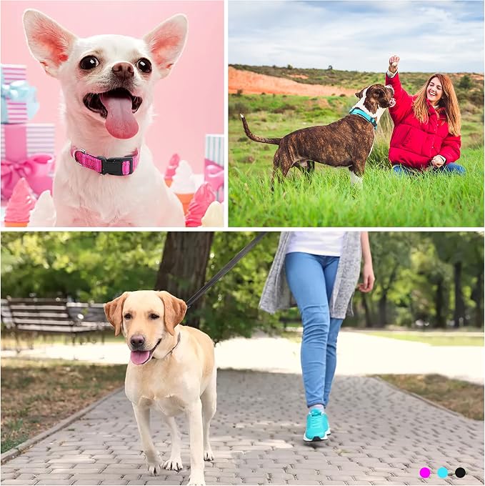 Durable Reflective Dog Collar and Leash Set with Double Layer Nylon, Soft Neoprene Padded Dog Collar with 5ft Strong Pet Leash Easy for Medium Large Dogs Walking,Teal,Neck fit 14.0-23.5’’