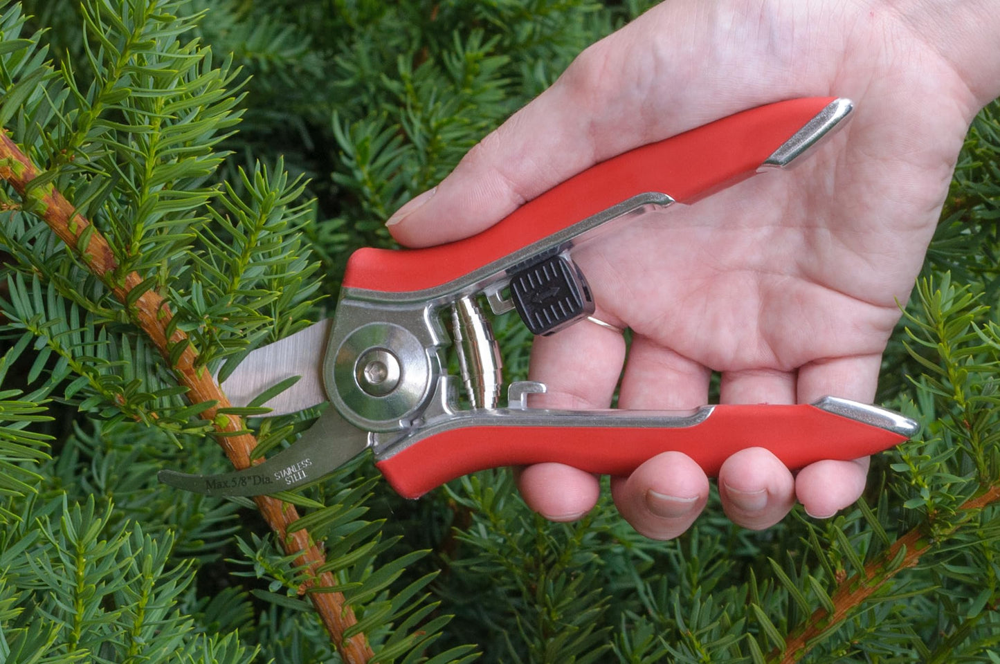 Dramm ColorPoint Stainless Steel Compact Garden Pruning Shears, Hand Pruner, Garden Clippers, with Heavy Duty Blade and Easy grip Handle, Berry