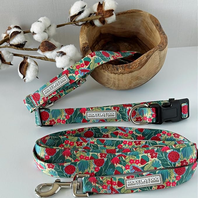 Lucky Love Dog - Adjustable Dog Collar with Easy Click Buckle for Small Dogs, Durable, & Comfortable for Male & Female Dogs, Pet Collar for Puppies & Adult Dogs - Ginny, Small