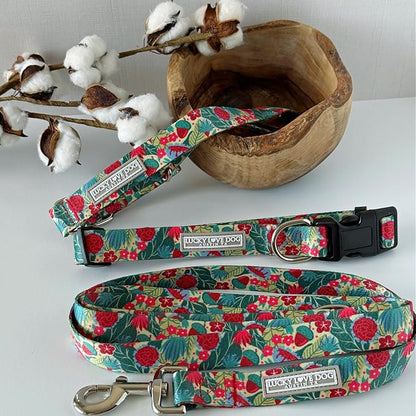 Lucky Love Dog - Adjustable Dog Collar with Easy Click Buckle for Small Dogs, Durable, & Comfortable for Male & Female Dogs, Pet Collar for Puppies & Adult Dogs - Ginny, Small