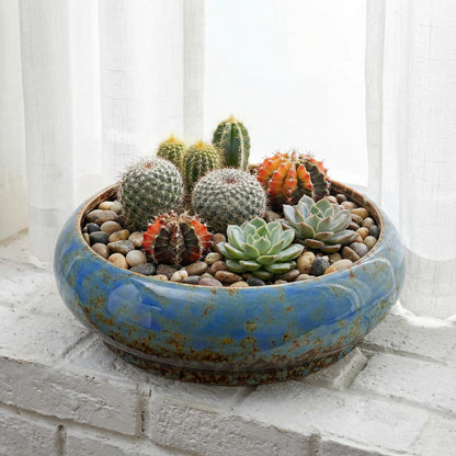 Homoyoyo Ceramic Lotus Bowl Planter Porcelain Cactus Planters for Lotus Seeds Succulents Bonsai Water Lily Arrangement Bonsai Succulents Cactus Without Hole Blue
