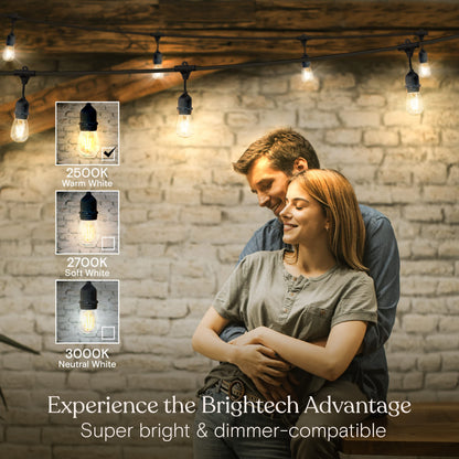 Brightech Ambience Pro - Waterproof LED Outdoor String Lights - 15 Hanging, Dimmable 2W Vintage Edison Bulbs - 48 Ft Commercial Grade Patio Lights Create Cafe Ambience in Your Backyard