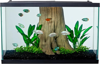 Tetra Glass Aquarium 29 Gallons, Rectangular Fish Tank, Assorted Color