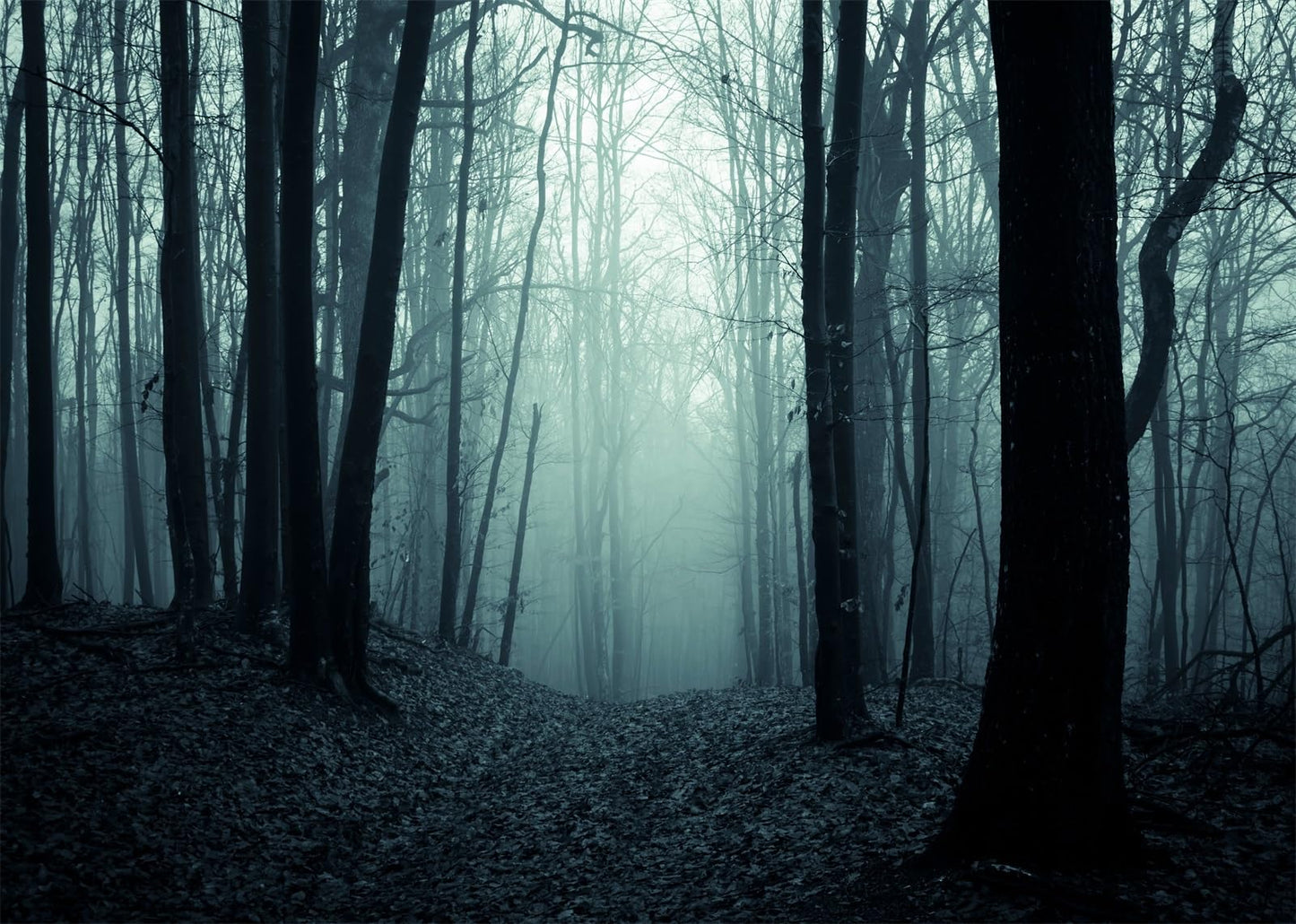 BELECO 7x5ft Fabric Spooky Dark Forest Backdrop Halloween Haunted Misty Woods Magic Grove Vampire Evil Trees Background Halloween Forest Party Decorations Photo Studio Prop