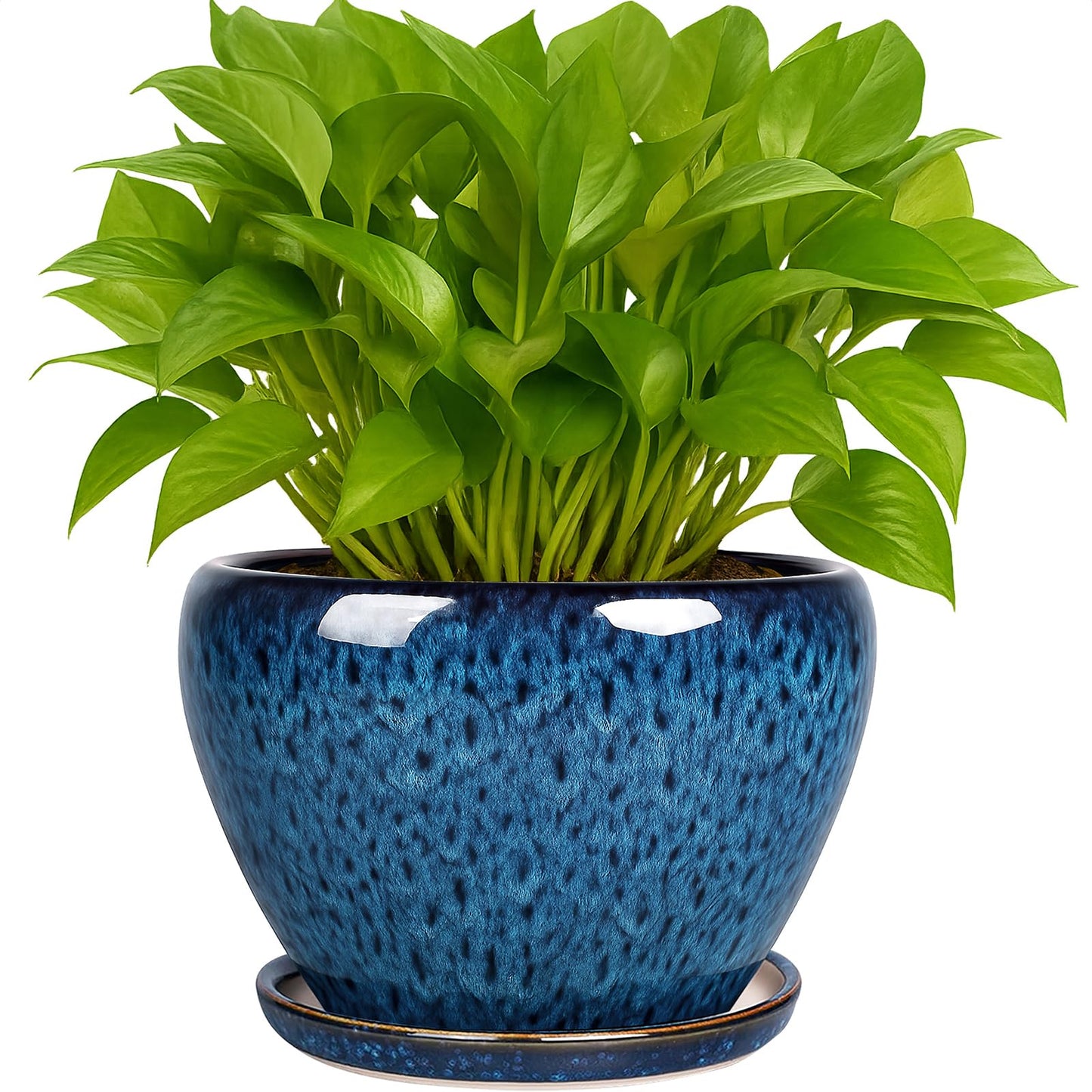 Deep Dream 6 Inch Plant Pots- Ceramic Planter Pot with Drainage Hole and Saucer, Round Flower Pot for Indoor Outdoor Succulent, Snake Plants and Cactus, Blue