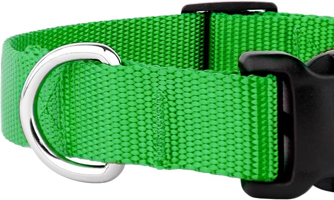 Country Brook Petz - Everyday Nylon Dog Collar and Leash - 10+ Cool Colors (1 Inch, Extra Large, Hot Lime Green)