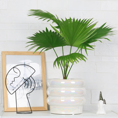 YFFSRJDJ 8 Inch Ceramic Plant Pots for Indoor Plants, White Flower Pot, Rainbow Pearl Glaze Planter with Planters for Plants with Drainage Hole