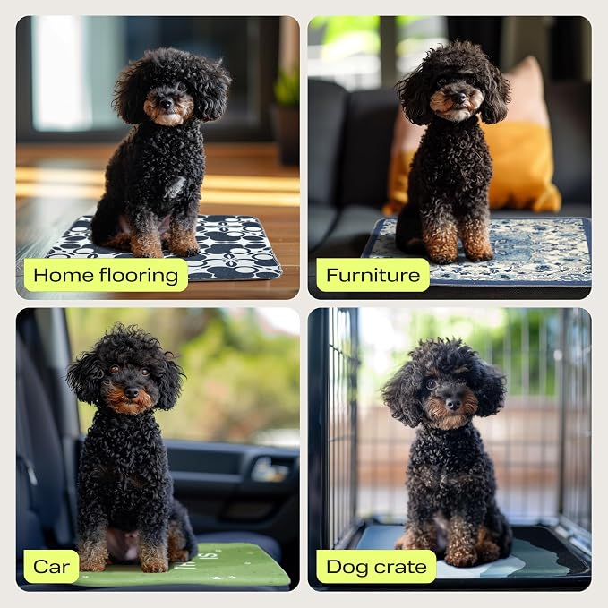 PetSpy Washable Pee Pads for Dogs 1-pack (72x72) - Waterproof Reusable Puppy Pads No-slip Surface - Stylish Dog Potty Training Pads Protect Against Leakage Small Medium Large Dogs, Oriental