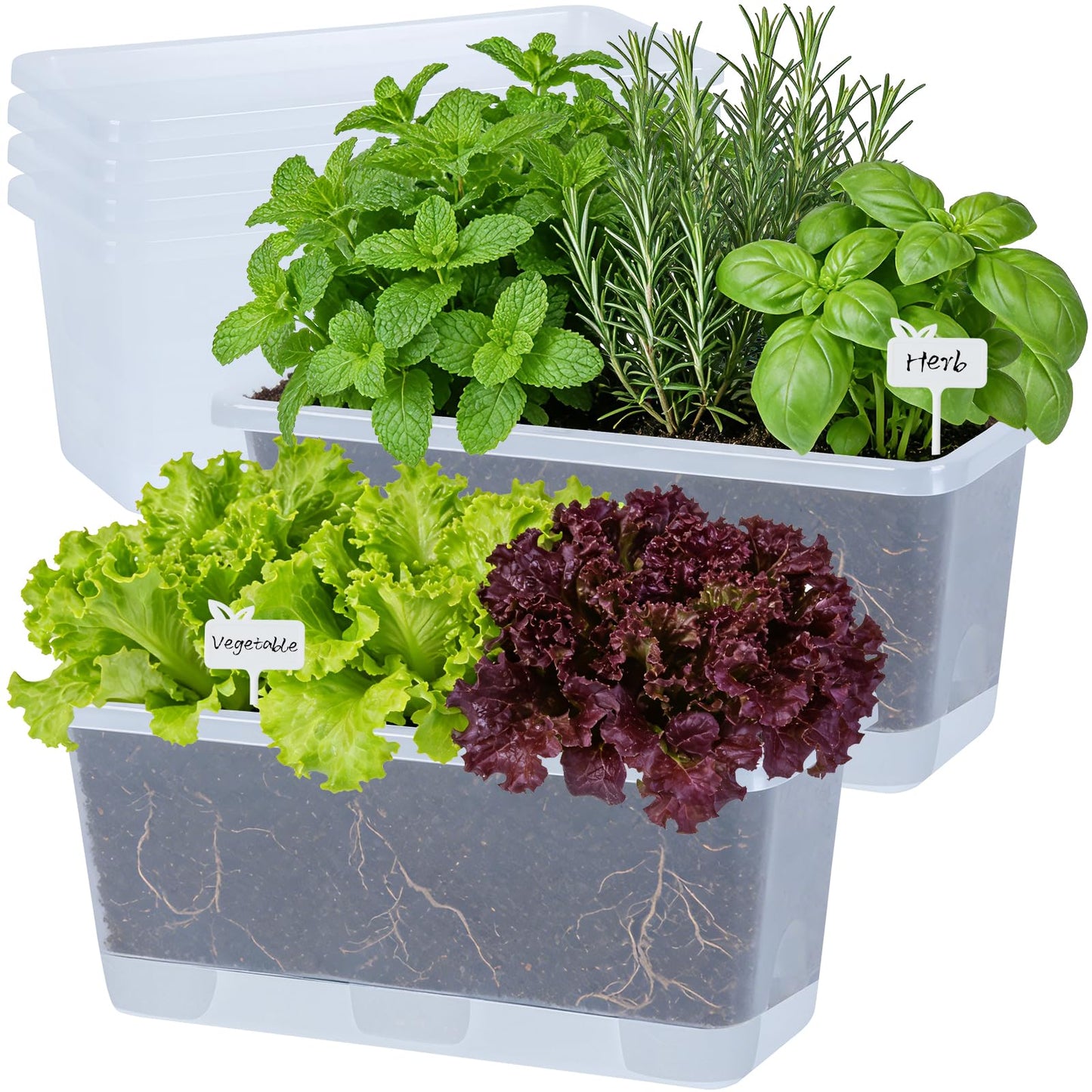Oliz Window Box Planter 6 Packs, 13.8 Inches Rectangle Flower Pots with Drainage Holes & Trays, Pots for Vegetables, Herbs, Flowers, Garden Windowsill Balcony (Translucent White)