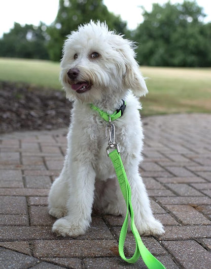 Country Brook Petz - Everyday Nylon Dog Collar and Leash - 10+ Cool Colors (3/8 Inch, 2XS, Hot Lime Green)