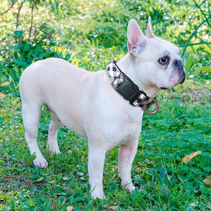 Ladoogo Reflective Dog Collar Padded with Soft Neoprene Breathable Adjustable Nylon Dog Collars for Small Medium Large Dogs (Small (Pack of 1), Black Plaid Collar+Leash)