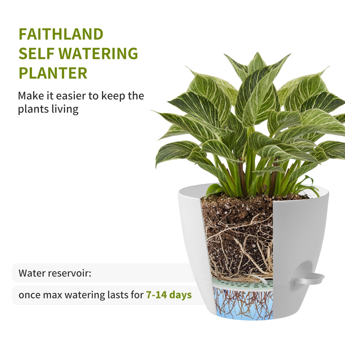 FaithLand 3-Pack Planter Pots, 10 9 8 Inch Self Watering Flower Pots for Indoor Outdoor Garden Plants, White with Brown