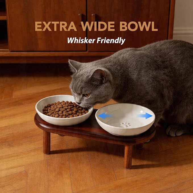 Havniva Elevated Cat Bowls Raised Ceramic Cat Bowl, 5.7” Wide Opening Cat Food Bowl Whisker Friendly Cat Dish Anti-Slip with Wood Stand, Shallow Pet Food & Water Bowl for Indoor Cats