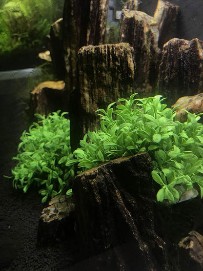 Aquarium Decorations Fish Tank Artificial Green Water Plants Made of Soft Plastic, Safe for All Fish & Pets (Style-3)