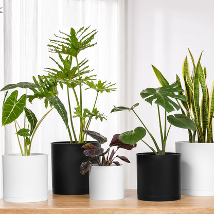 FaithLand 8-Inch Modern Cylinder Planter, Thick-Walled Plastic Plant Pot with Drainage Holes and Detachable Saucer, Matte Black, Ideal for Indoor & Outdoor Plants Flowers