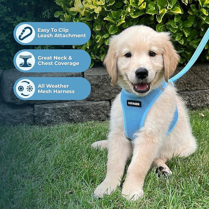 Best Pet Supplies Voyager Step-in Air All Weather Mesh Harness and Reflective Dog 5ft Leash Combo with Neoprene Handle, for Small, Medium and Large Breed Puppies - Baby Blue, Large