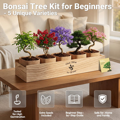 JELHFIP Bonsai Tree Starter Kit for Beginners 5 Unique Indoor Bonsai Trees with Gardening Tools DIY Bonsai Growing Kit Perfect Gifts for Women Men Plant Lovers for Birthday Father’s Day Housewarming