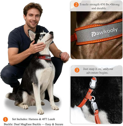 MagEase Dog Collar with 4FT Leash | Adjustable | Anti-Wrinkle, Bite & Stain-Resistant Leather | Soft & Skin-Friendly | 450LB Escape-Proof Magnetic Buckle (Orange, Medium)