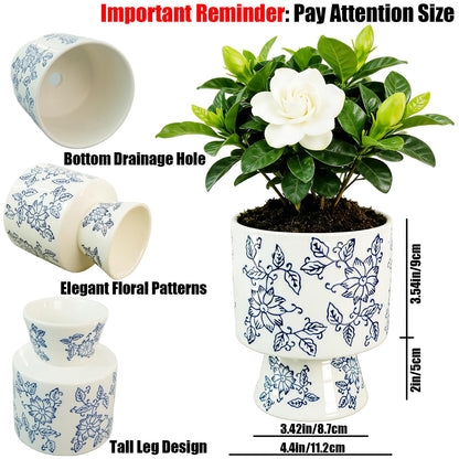Blue and White Ceramic Flower Pot with Drainage Hole ，Elegant Succulent Plants and Orchid Planters, Home Decor Flowerpots with Tall Cup Shape Suitable for Tiger Tail Orchid and Floral Plants
