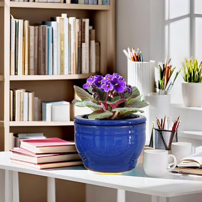 Dphagesy African Violet Pots Self Watering Round Ceramic Violet Pot (Blue, 6 inch)