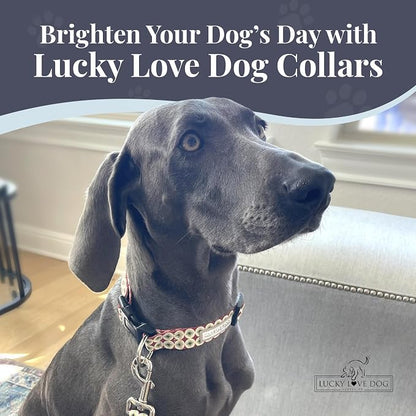 Lucky Love Dog - Easy Click Buckle Dog Collar with Leash Set Combo, Durable & Comfortable for Male & Female Dogs, Pet Collar for Small Dogs, Secure Fit - Pongo Combo, XS