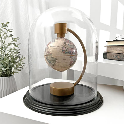 Plymor 8" x 10.25" Glass Display Dome Cloche (Black Wood Veneer Base)