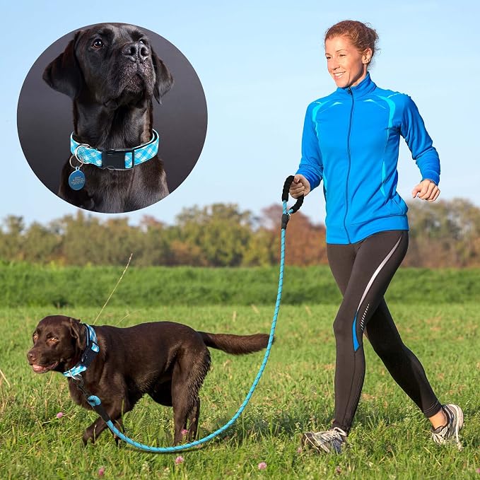 Ladoogo Reflective Dog Collar Padded with Soft Neoprene Breathable Adjustable Nylon Dog Collars for Small Medium Large Dogs (Small (Pack of 1), Vivid Blue Plaid Collar+Leash)