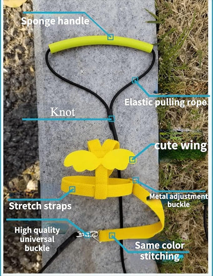 Adjustable Bird Harness with Elastic Leash, Pet Parrot Harness and Leash, Adjustable Training Design Anti-Bite, Bird Nylon Rope with Cute Wing for Conure (Light Blue,L)