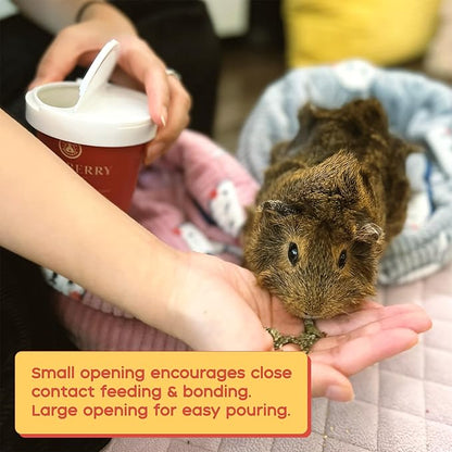 GuineaDad Organic Guinea Pig Herbal Treats - Guinea Pig Food with Convenient Packaging - Raspberry Leaf Flavor - 10 fl. oz - Guinea Pig Treats Help with Bonding - High in Nutrition and Fiber- Small