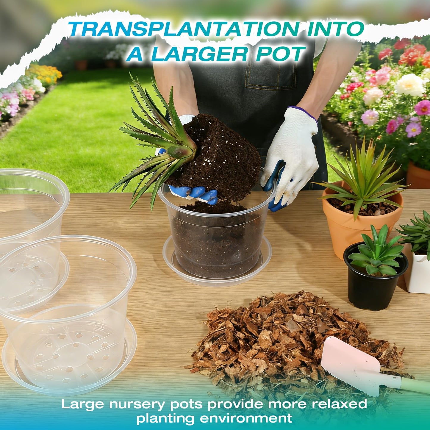 HKKZYT 8/10/12 Inch Clear Nursery Pots with Drainage and Sacuers, 15 Pack Plastic Pots for Plants Indoor Outdoor, Variety Large Clear Pots for Flowers, Succulents (8/10/12inx5pcs)