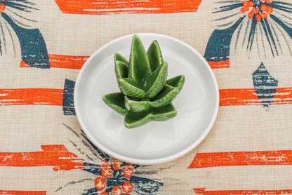 NociHah Cactus Ring Holder Jewelry-Dish - Ceramic Plant Decor Jewelry Dish Bracelet Earrings Necklace Tray for Birthday Gifts Home Wedding Decor