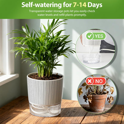 CWYEYE 3 Pack Self Watering Pots Set, 5.5 Inch Self Watering Pots for Indoor Plants, Planter Pot with Wick Rope and Reservoir for African Violet, Spider Plant, Orchid