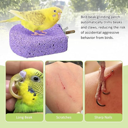 BNOSDM 4 Pcs Bird Beak Grinding Stone Chew Toy Parrot Calcium Perch Bird Stand Platform Parakeet Cage Accessories for Budgies, Cockatiels, Conures, Lovebirds, Finch (Purple)