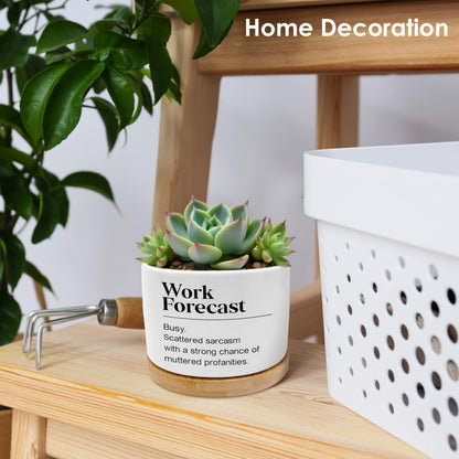 ROXMART Work Forecast Funny Plant Pots, Office Humor Gifts Succulent Planters, Funny Sarcastic Gifts for Coworkers Ceramic Plant Flower Pots for Home Office Desk Table Shelf(No Plants)