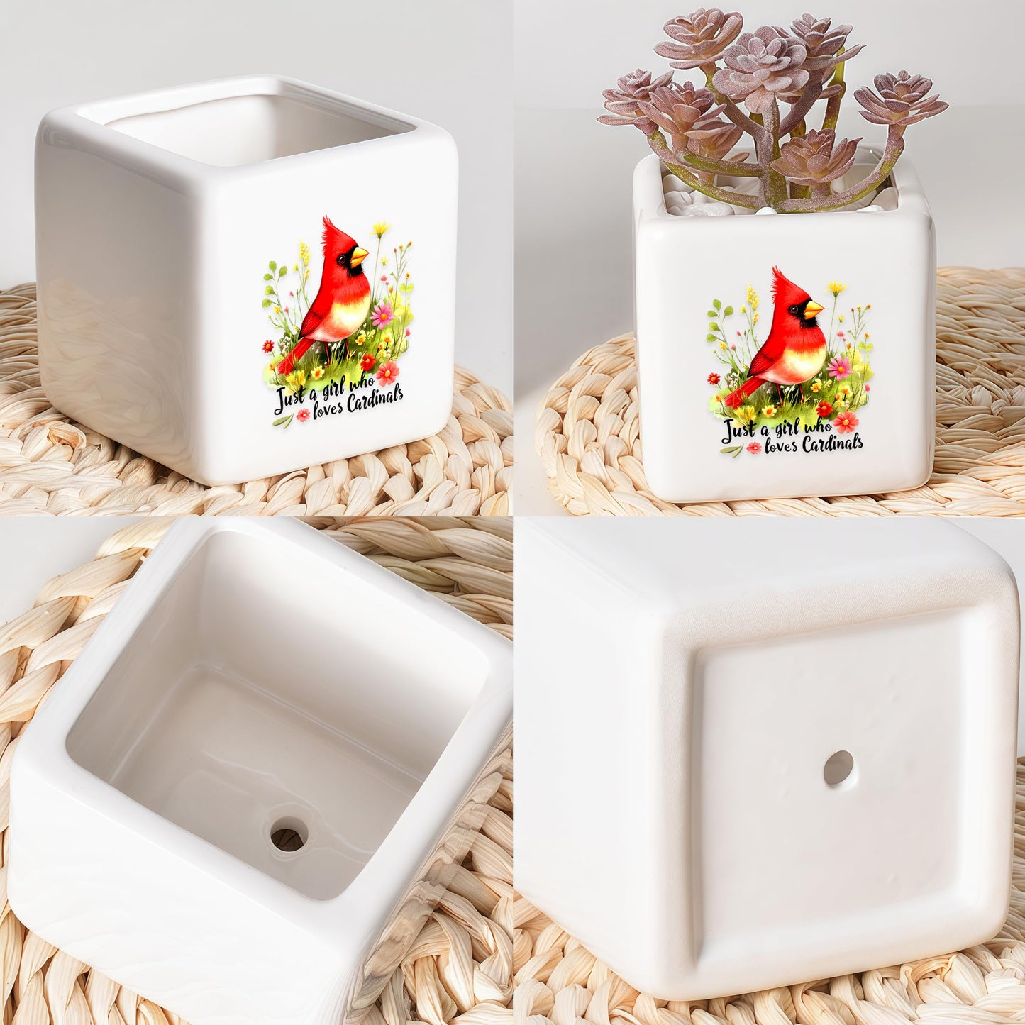BJDAMAI Cardinal Succulent Planter Flower Plant Pot Small, Gifts for Women Teens Girls Kids, Cardinal Lovers Themed Stuff Accessories Things Decor Merch, Home Office Table Desk Decoration!